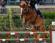 ADDIS ITACA MIA CampITA2013- S5 0940 : ADDIS PIERPAOLO, Campionati Italiani 2013, Cattolica, Horse Riviera Resort, ITACA MIA, foto di Stefano Secchi ©